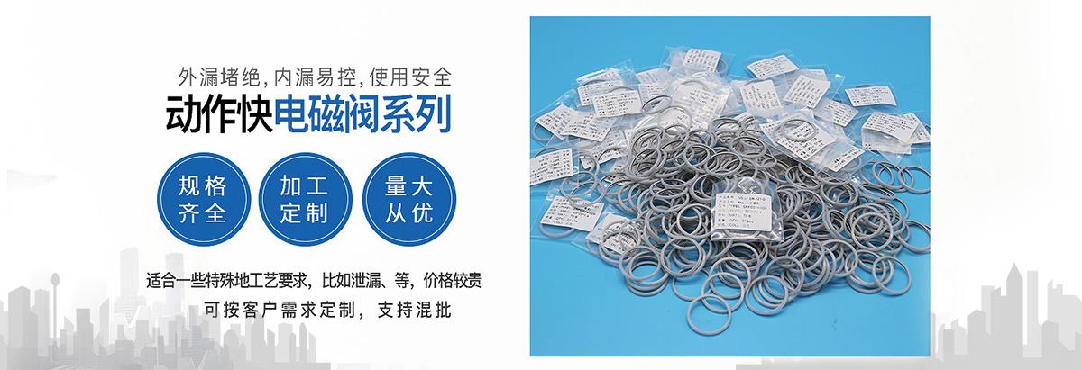 PTFE骨架油封,四氟骨架油封,铁氟龙骨架油封